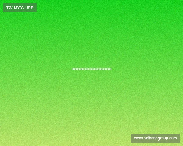 聚焦赛事报名费用探讨合理设置与参与者承受能力平衡要点